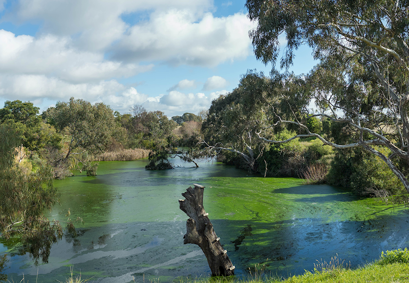 Part-Time-position-for-procedures-available-Werribee-1